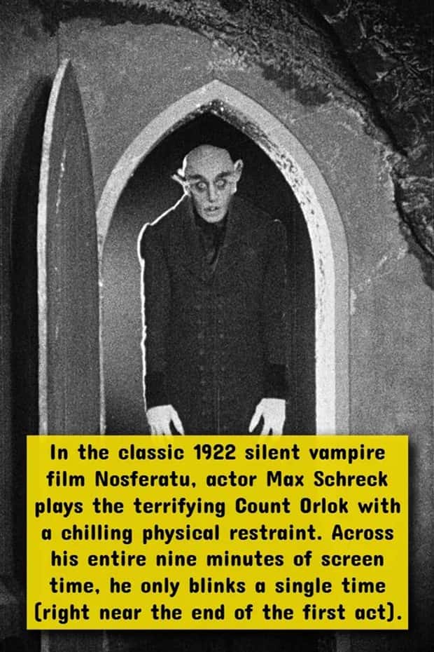 The Most Twisted Horror Movie Facts (17 photos)