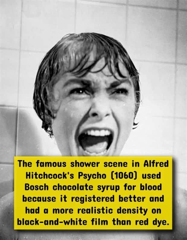 The Most Twisted Horror Movie Facts (17 photos)