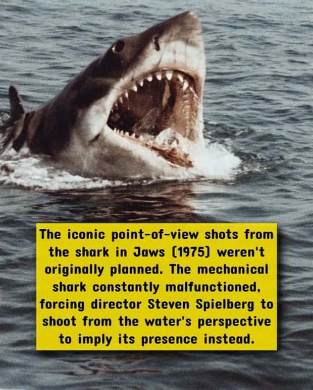 The Most Twisted Horror Movie Facts (17 photos)