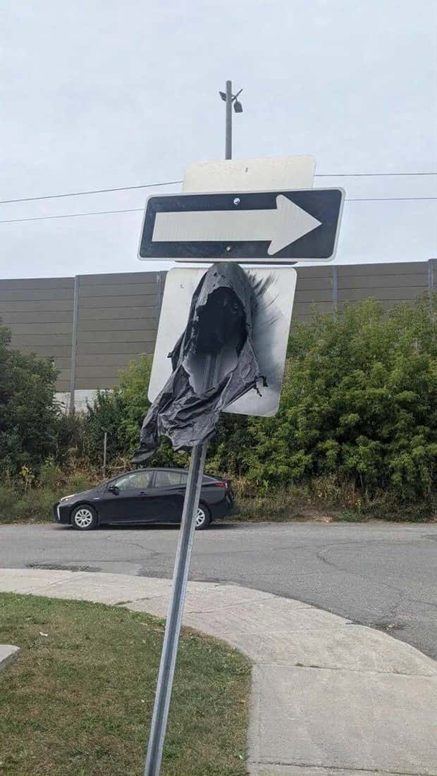 Klyker Picdump #2018 (43 photos)