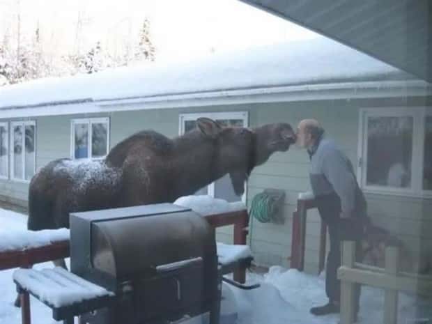 Klyker Picdump #2018 (43 photos)