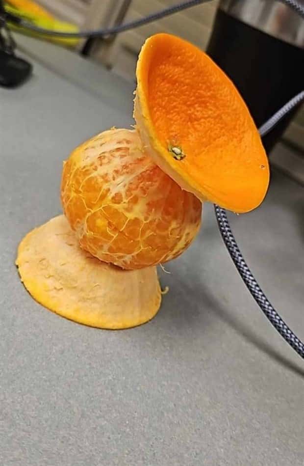 Klyker Picdump #2018 (43 photos)