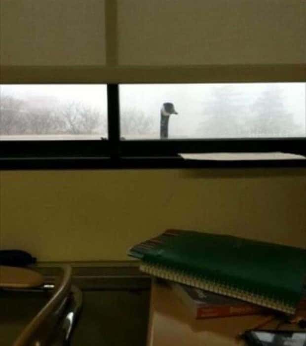 Klyker Picdump #2025 (45 photos)
