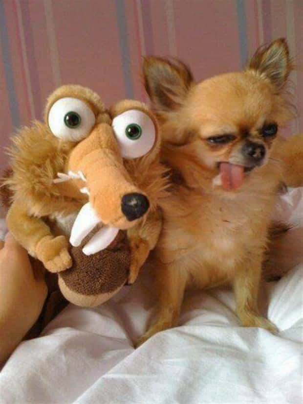 Klyker Picdump #2025 (45 photos)