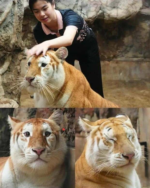 Klyker Picdump #2025 (45 photos)