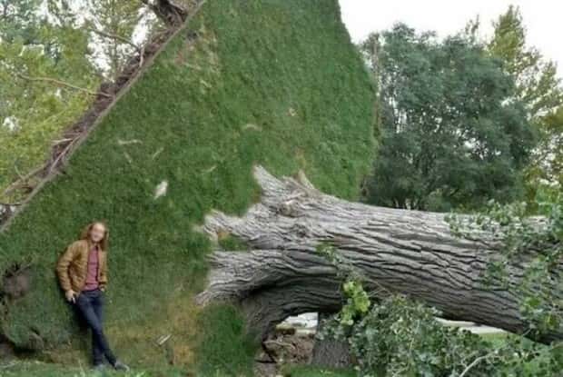Klyker Picdump #2026 (41 photos)