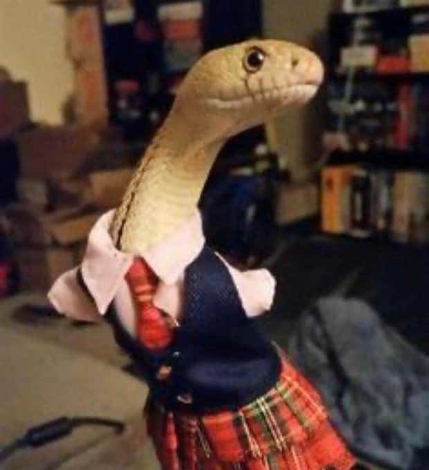 Klyker Picdump #2026 (41 photos)