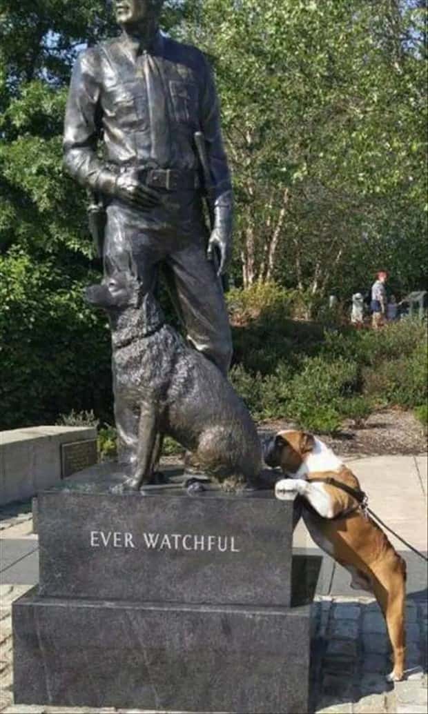 Klyker Picdump #2026 (41 photos)
