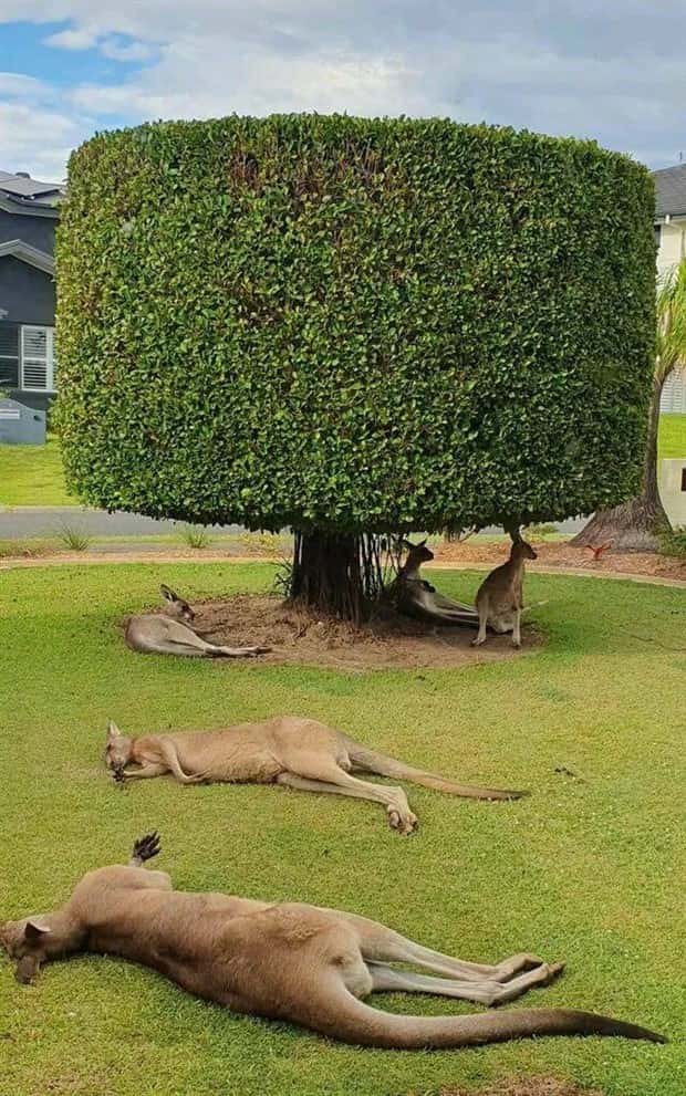 Klyker Picdump #2019 (44 photos)