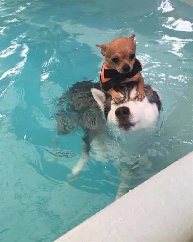 Klyker Picdump #2019 (44 photos)
