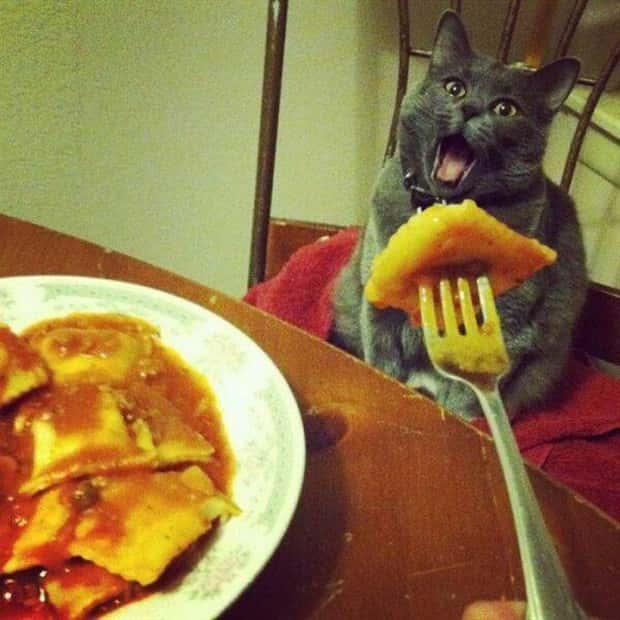 Klyker Picdump #2019 (44 photos)
