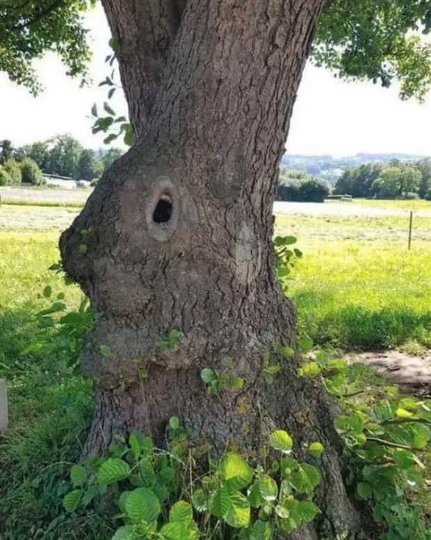 Klyker Picdump #2033 (43 photos)