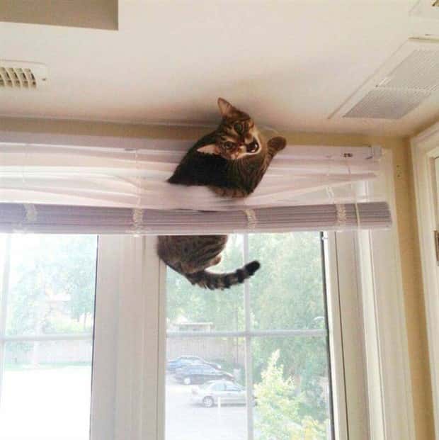 Klyker Picdump #2033 (43 photos)