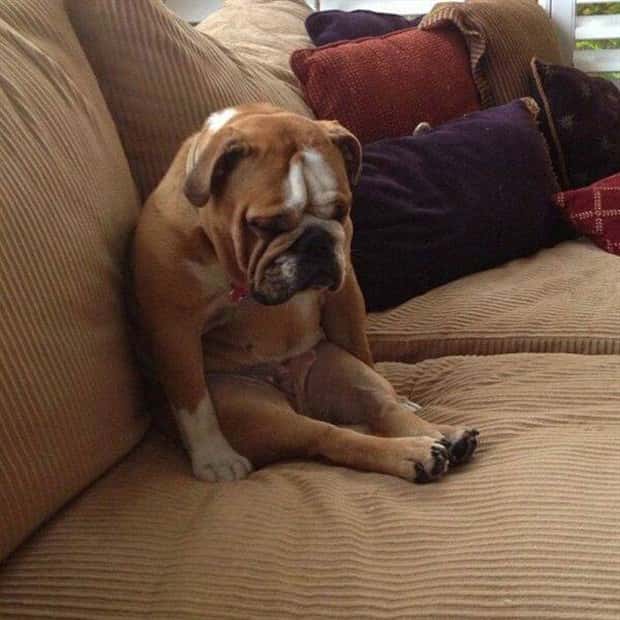 Klyker Picdump #2033 (43 photos)