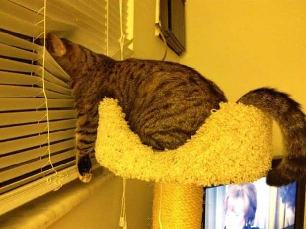 Klyker Picdump #2033 (43 photos)