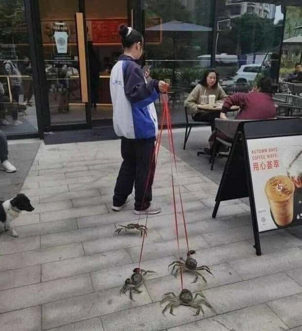 Klyker Picdump #2034 (44 photos)