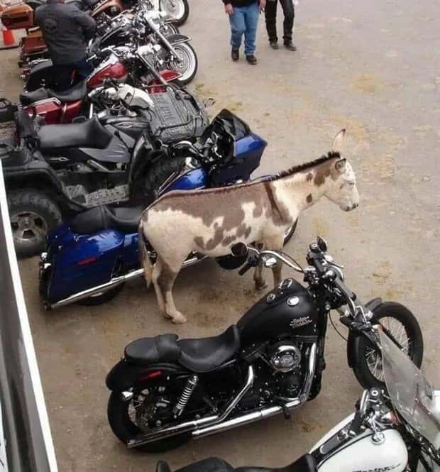 Klyker Picdump #2034 (44 photos)