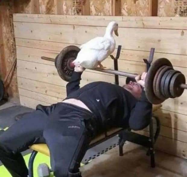 Klyker Picdump #2036 (41 photos)
