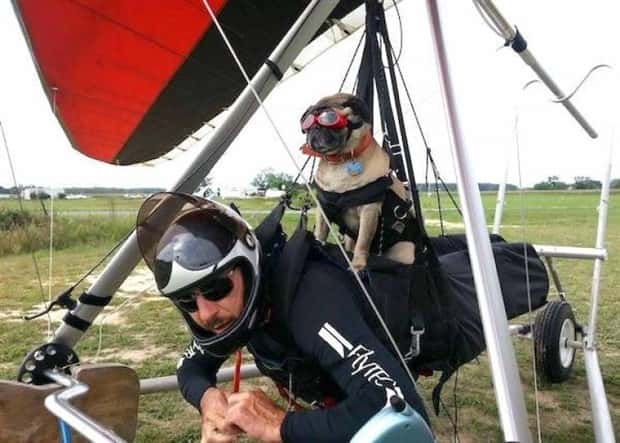 Klyker Picdump #2036 (41 photos)