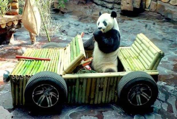 Klyker Picdump #2036 (41 photos)