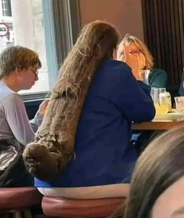Klyker Picdump #2021 (41 photos)