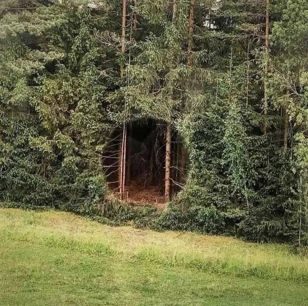 Klyker Picdump #2021 (41 photos)
