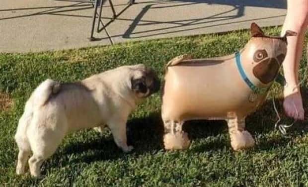 Klyker Picdump #2021 (41 photos)