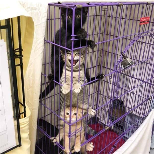 Klyker Picdump #2021 (41 photos)
