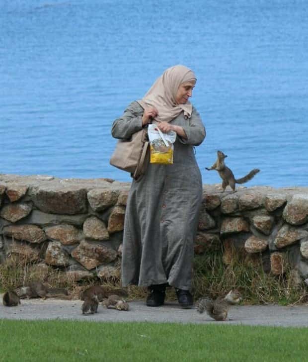 Klyker Picdump #2021 (41 photos)