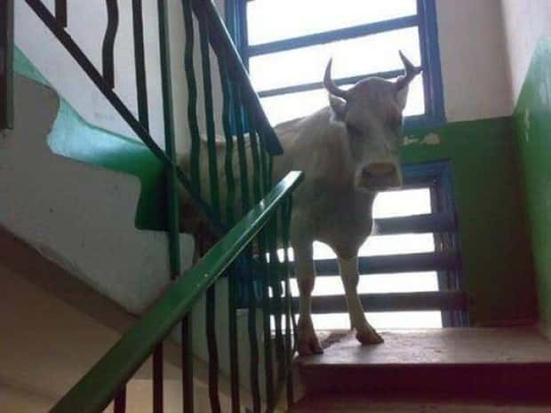 Klyker Picdump #2023 (43 photos)