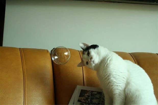 Klyker Picdump #2023 (43 photos)