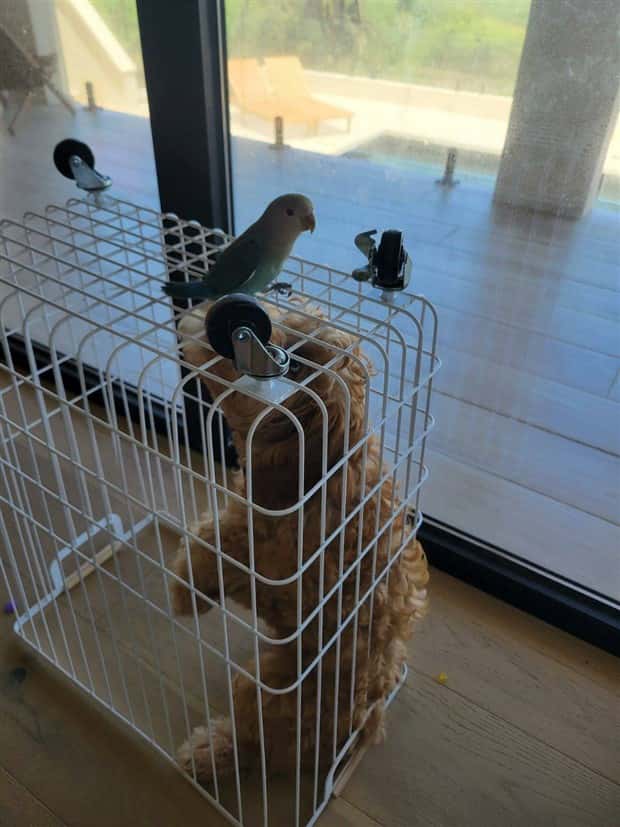Klyker Picdump #2023 (43 photos)