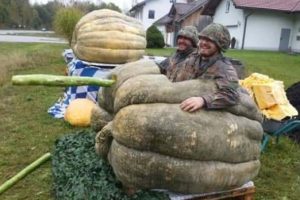 Klyker Picdump #2024 (44 photos)
