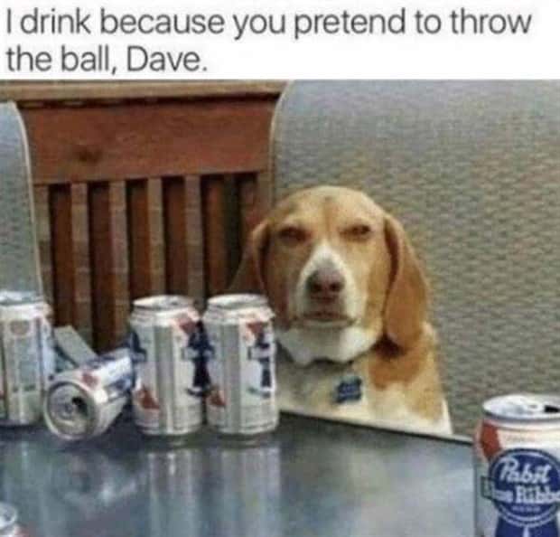 Funny Pics and Memes to Make You Laugh #215 (20 photos)