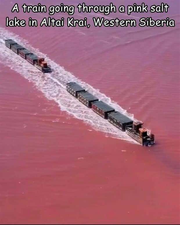 Interesting Pictures with Captions #216 (22 photos)