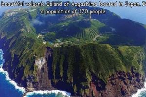 Interesting Pictures with Captions #216 (22 photos)
