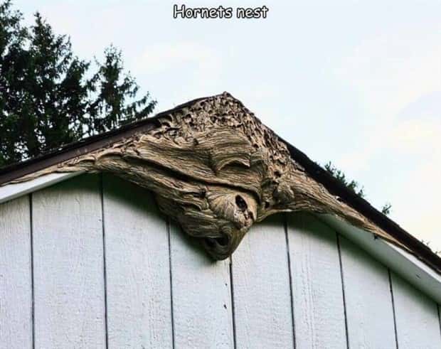 pictures with captions 6 Interesting Pictures with Captions #214 (16 photos)