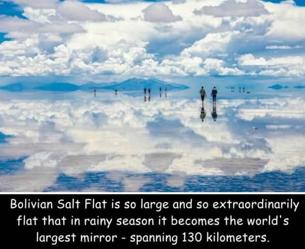 pictures with captions 9 2 Interesting Pictures with Captions #217 (18 photos)