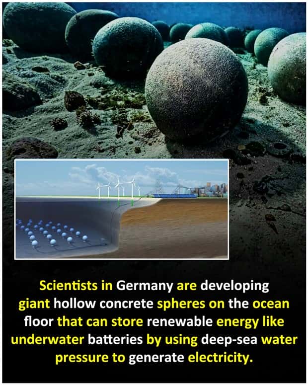 random facts 11 1 Cool and Interesting Facts #490 (19 photos)