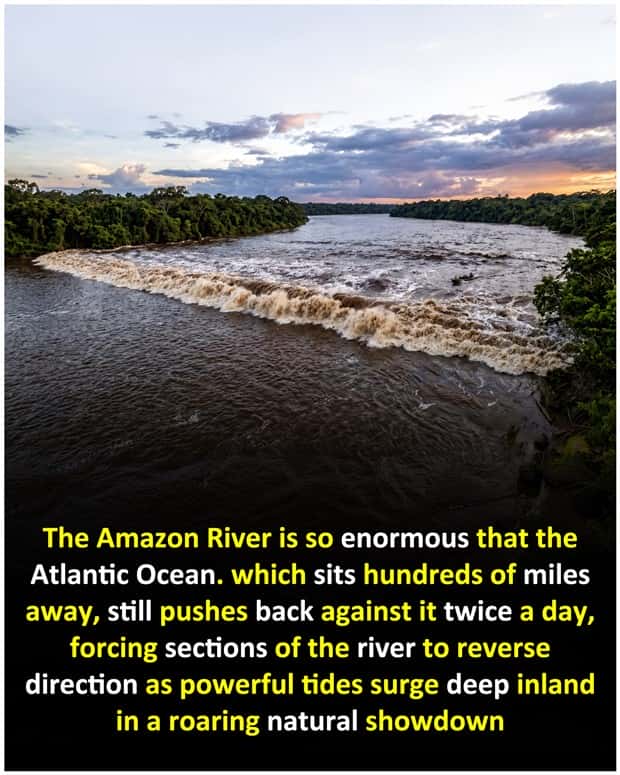 random facts 12 1 Cool and Interesting Facts #490 (19 photos)