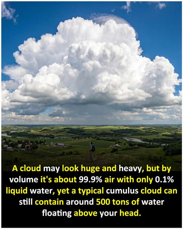 random facts 16 1 Cool and Interesting Facts #490 (19 photos)