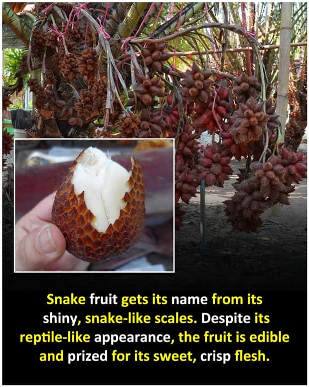Cool and Interesting Facts #492 (21 photos)