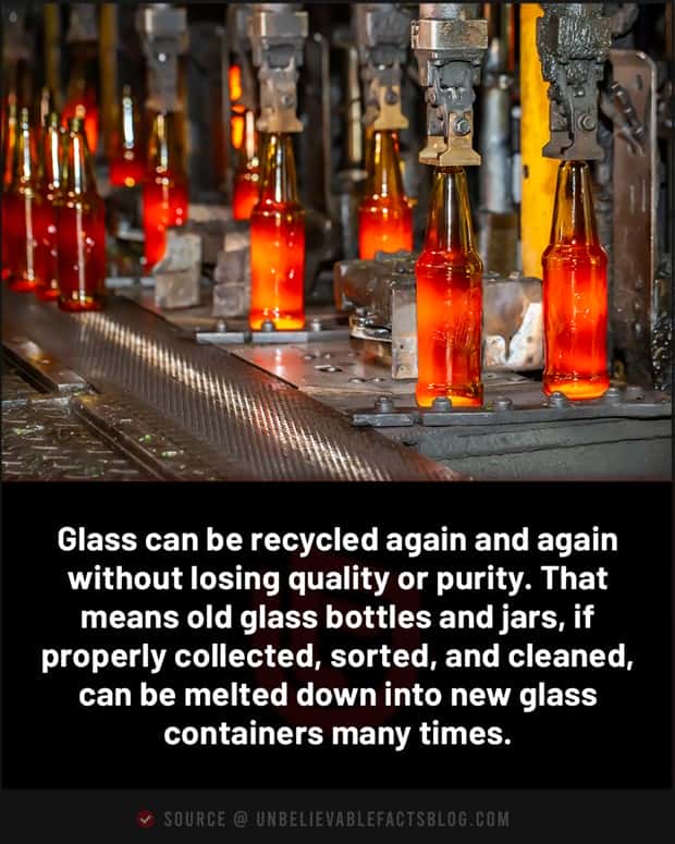 random facts 6 1 Cool and Interesting Facts #490 (19 photos)