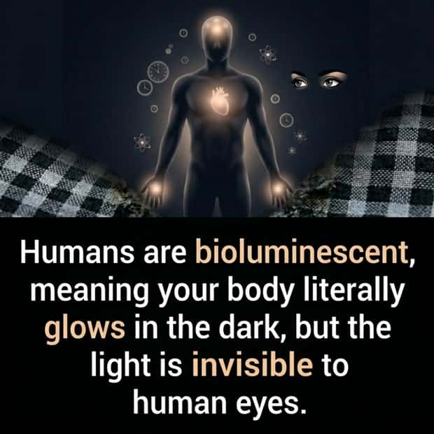 Cool and Interesting Facts #492 (21 photos)
