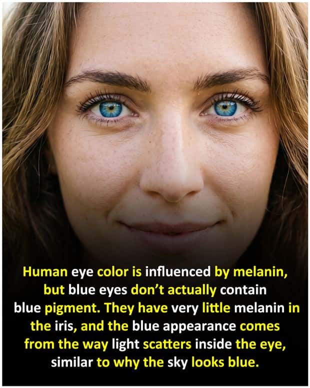 random fun facts 1 Cool and Interesting Facts #491 (20 photos)