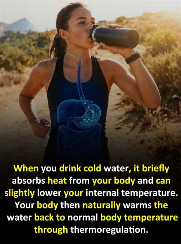 random fun facts 11 Cool and Interesting Facts #491 (20 photos)