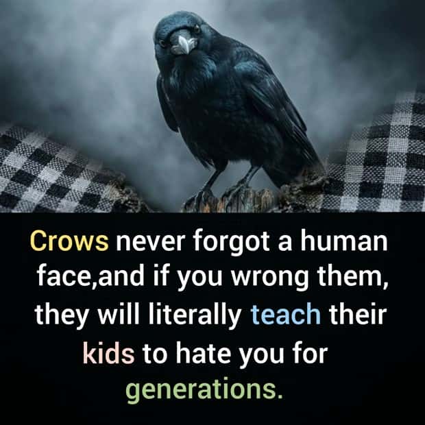 random fun facts 19 Cool and Interesting Facts #491 (20 photos)