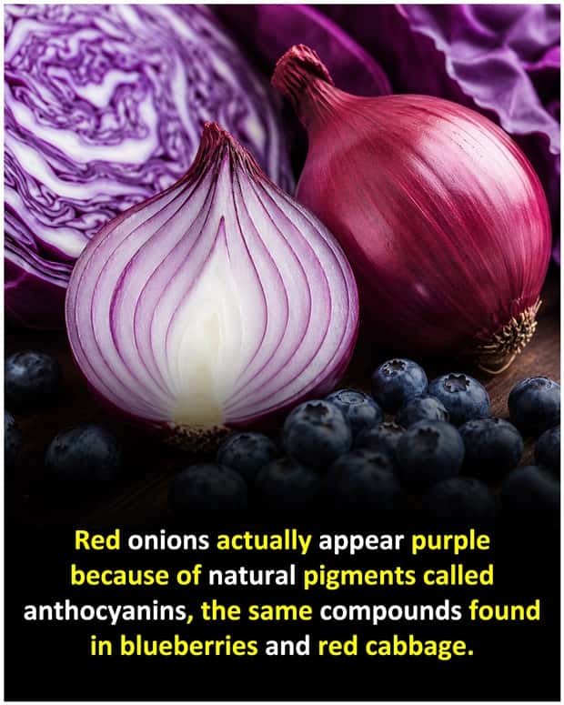 random fun facts 3 Cool and Interesting Facts #491 (20 photos)