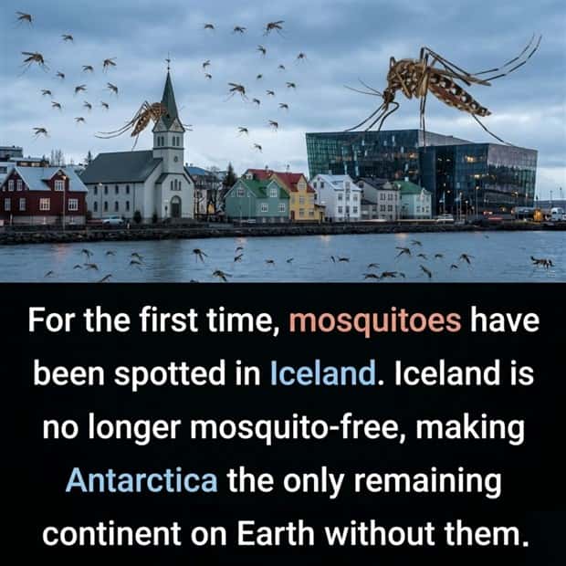 random fun facts 7 Cool and Interesting Facts #491 (20 photos)