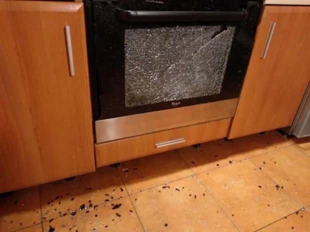 shit happens 20 Shit Happens Regularly, Get Used To It #388 (20 photos)